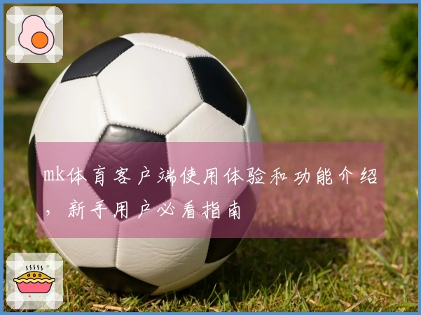 mk体育客户端使用体验和功能介绍，新手用户必看指南