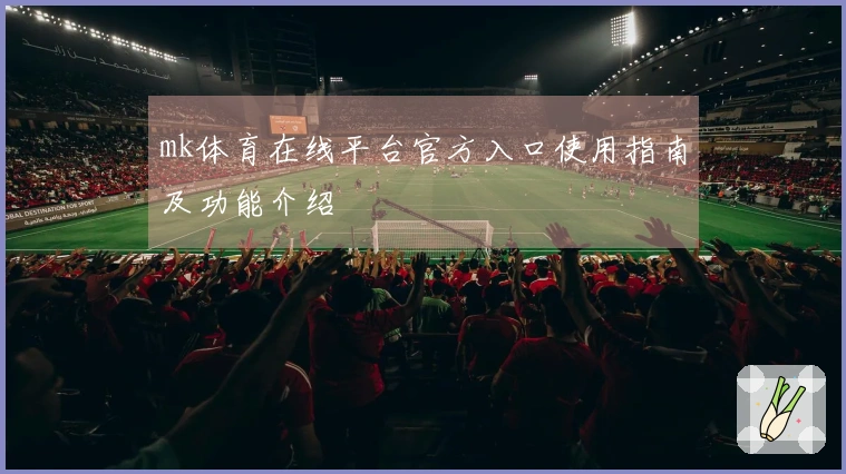 mk体育在线平台官方入口使用指南及功能介绍